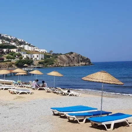 Bodrum Homes & Villas 博德鲁姆
